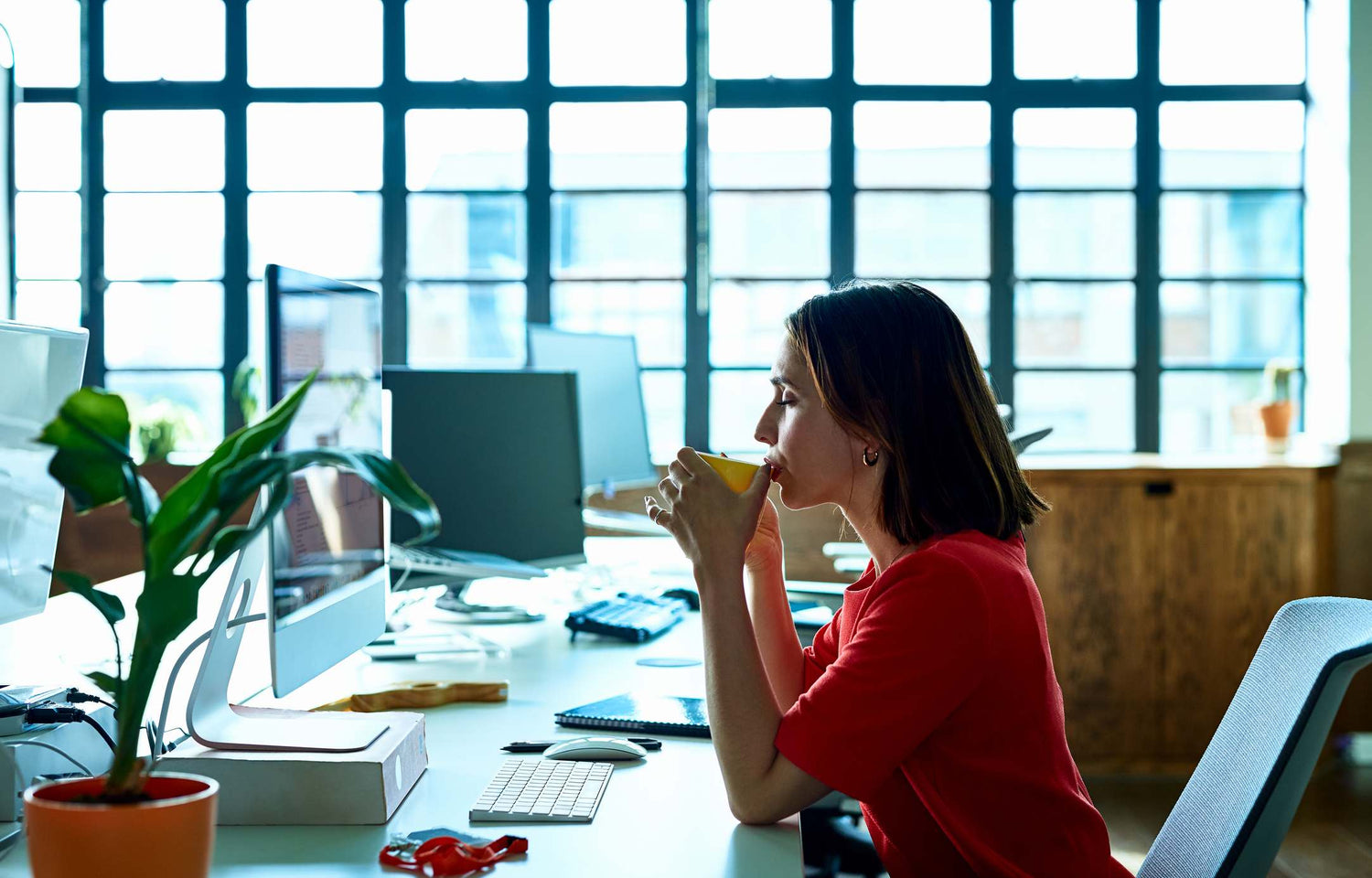 Office Breakdown